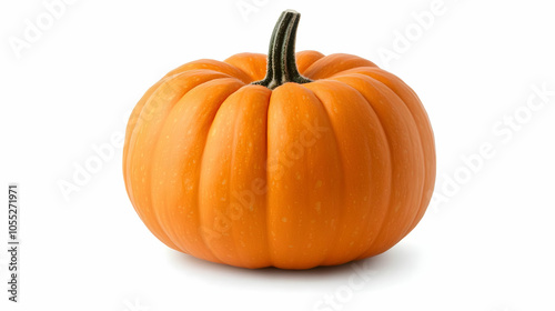 Single Orange Pumpkin, autumn, fall, halloween, thanksgiving, harvest