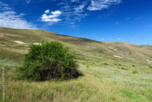 Steppen-Landschaft in Rumänien // Steppe landscape in Romania (Pajiștile lui Suciu) photo