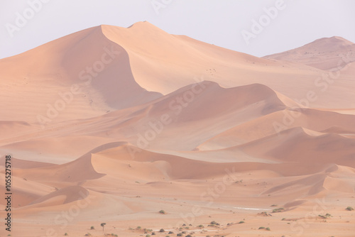 Fototapeta Naklejka Na Ścianę i Meble -  Le désert du Namib