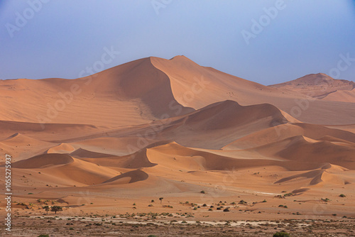 Fototapeta Naklejka Na Ścianę i Meble -  Le désert du Namib