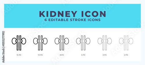 Kidney icon vector for web. And mobile app. Editable stroke outline icon.