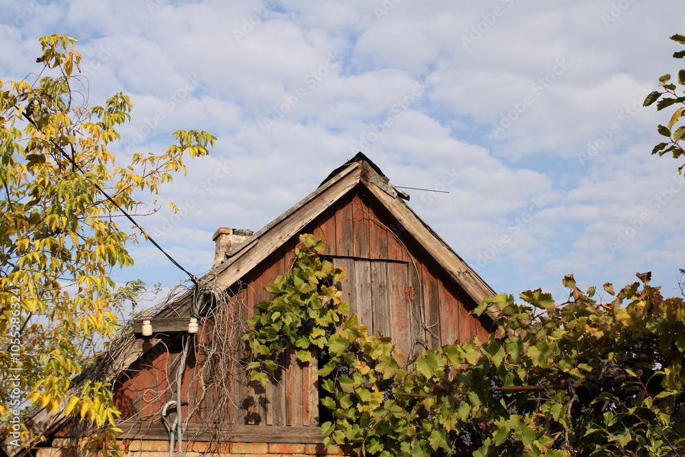 Fototapeta premium An old house overgrown with plants gives a sense of neglect while showcasing the beauty of nature reclaiming its place in the urban environment.