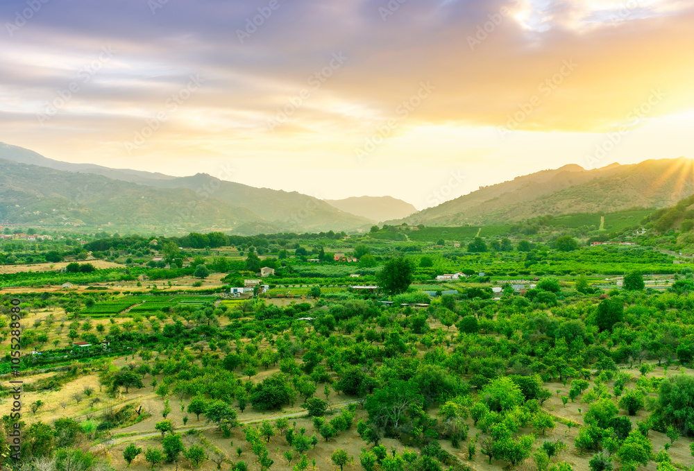 Fototapeta premium sunset valley landscape with green trees and gardens among beautiful mountains with colorful cloudy sky on background