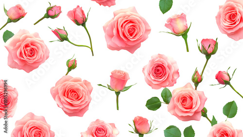 Pink Roses and Buds with Green Leaves Pattern Isolated on Transparent Background