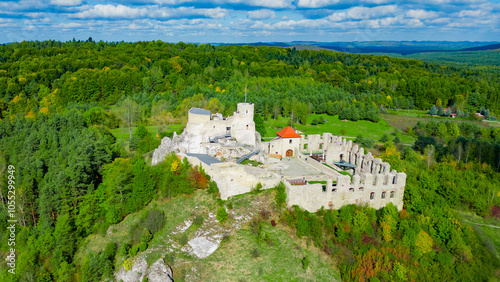 Obraz na płótnie Zamek-Rabsztyn w salonie