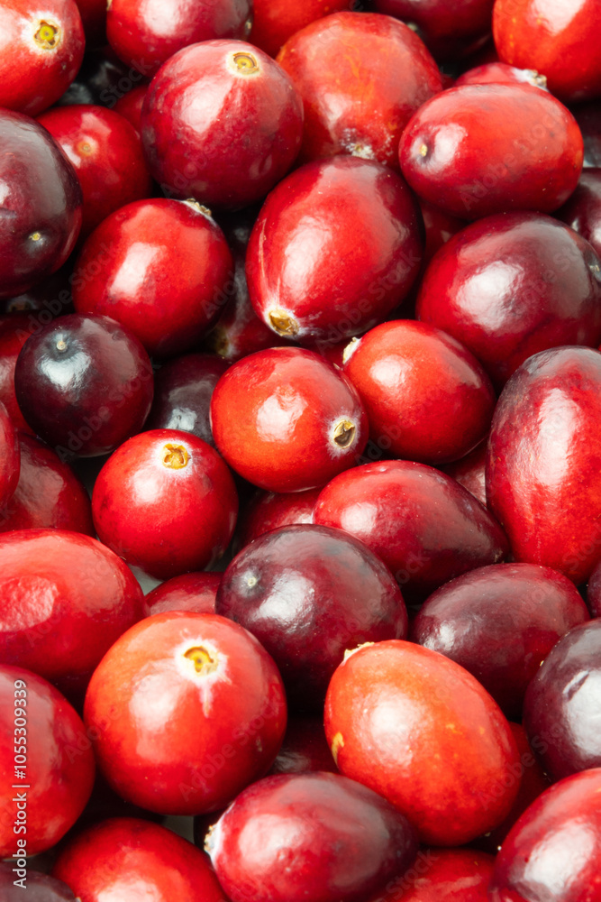 Red cranberries, close-up. Berry background. Red cranberries, close-up. Berry background.