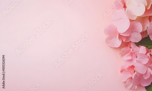 Delicate Pink Hydrangea Bloom, Generative AI 