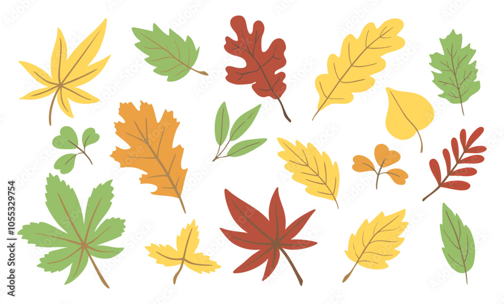 A collection of autumn leaves in various colors, including red, yellow A collection of autumn leaves in various colors, including red, yellow
