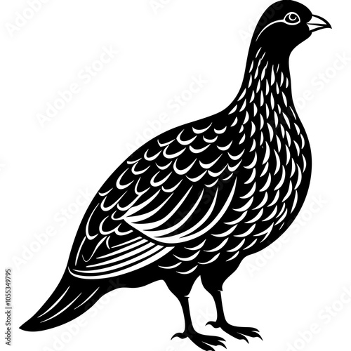 Dusky Grouse silhouette on a white background