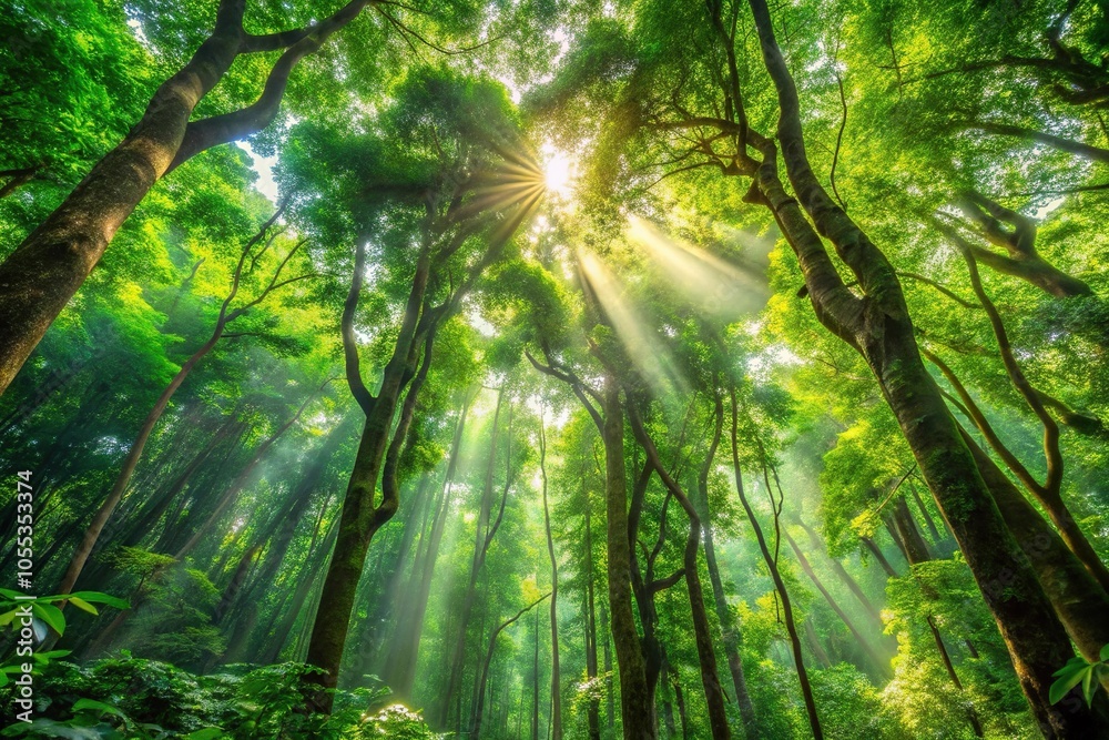 Fototapeta premium Dense foliage and towering trees create a lush forest atmosphere with dappled sunlight filtering through the canopy above, scenery, landscape, outdoors, leaves, natural world