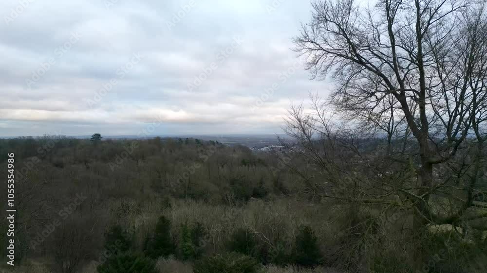 Ascending drone shot over a winter forest with bare trees and cloudy skies, revealing distant hills Ascending drone shot over a winter forest with bare trees and cloudy skies, revealing distant hills
