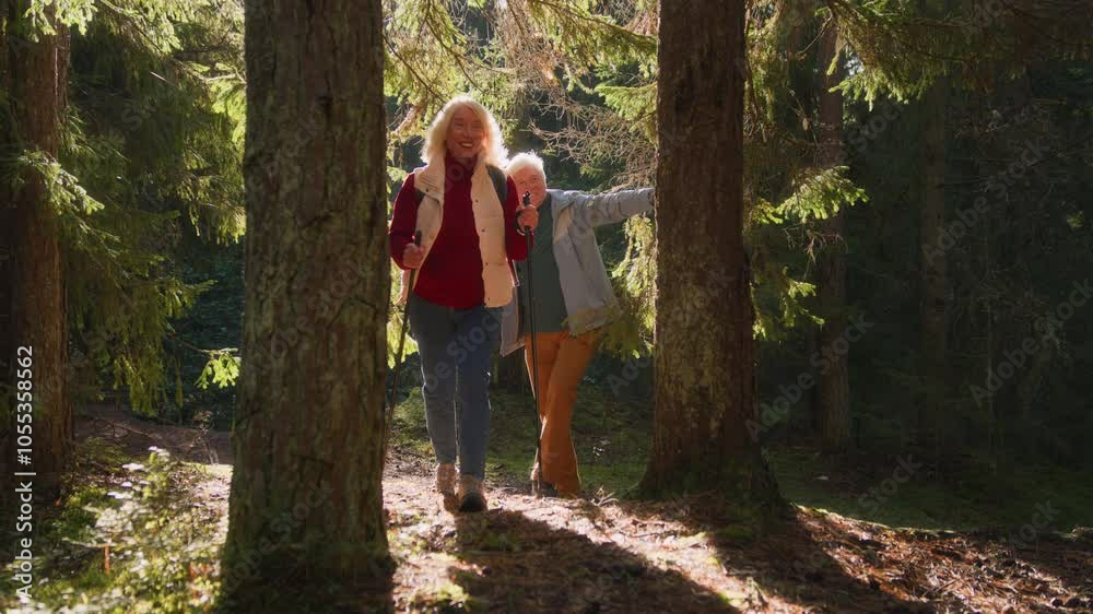 Senior couple enjoy Nordic walking with sticks on pathway in forest. Elderly positive man and woman stroll actively due to health caring. Energetic retirement marital pair smiling and admiring nature Senior couple enjoy Nordic walking with sticks on pathway in forest. Elderly positive man and woman stroll actively due to health caring. Energetic retirement marital pair smiling and admiring nature