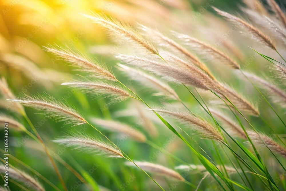 Softly swaying blades of grass with a gentle texture and delicate ridges, outdoors, stem, landscape, herbaceous texture, leafy greens Softly swaying blades of grass with a gentle texture and delicate ridges, outdoors, stem, landscape, herbaceous texture, leafy greens