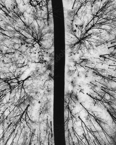 Aerial view of a snowy forest with a winding road and treetops, Newburgh, United States. photo