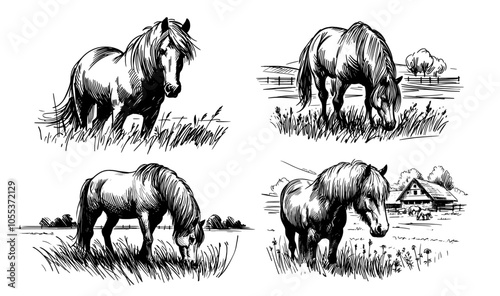 Peaceful countryside horse near barn – black vector drawing