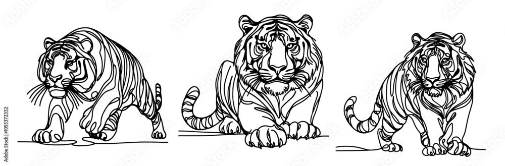 tiger moving in elegant monoline sketch, black vector with expressive lines tiger moving in elegant monoline sketch, black vector with expressive lines