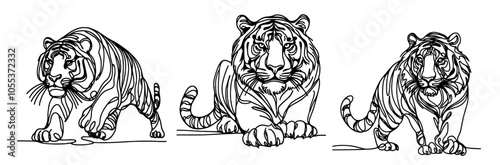 tiger moving in elegant monoline sketch, black vector with expressive lines