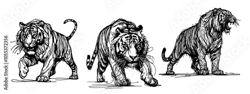expressive monoline sketch of tiger in motion, black vector