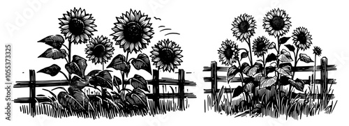 countryside sunflower design in sketchy style – black vector
