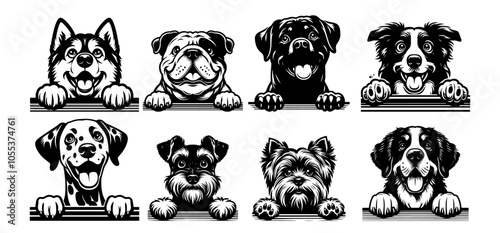 collection of cute dog faces in various breeds, black vector illustration