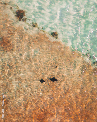 Aerial view of beautiful stingray swimming in transparent water near the coast of Coral Bay, Western Australia. photo