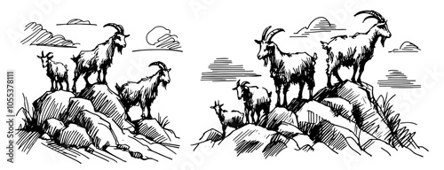 detailed sketch of wild goats on rocky mountain, black vector art