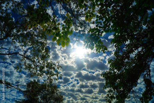 Clouds and blue skies. photo