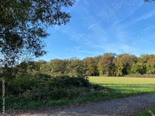 A trail on the Schwanheimer Wiese in Frankfurt photo