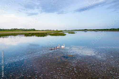 Aerial view of serene Shablenska Tuzla lake with swans and tranquil wetlands, Shabla, Bulgaria. photo