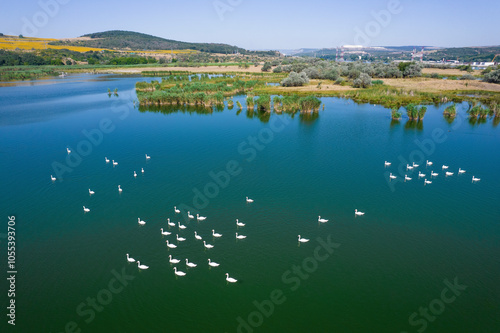 Aerial view of serene lake with swans and tranquil landscape, Beloslav, Bulgaria. photo