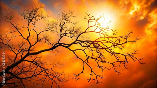 A bare tree branch silhouette against a vibrant sunset sky, revealing a glimpse of a radiant sun peeking through the intricate network of twigs