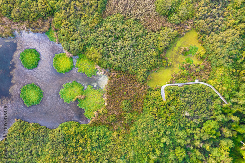 Aerial view of the serene Arkutino Reserve with lush forest and tranquil wetlands, Primorsko, Bulgaria.