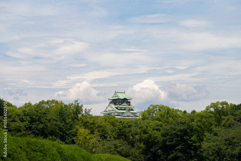Full outdoor shot of Osaka Castle in Japan, situated amidst lush greenery Full outdoor shot of Osaka Castle in Japan, situated amidst lush greenery