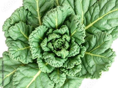 Fresh collard kale leaves isolated on white background, organic, vegetarian