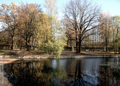 
Corner of autumn park. In the foreground is the black water of a pond, in which the trees are reflected. The trees are covered with green, yellow foliage, the tree in the center stands without leaves