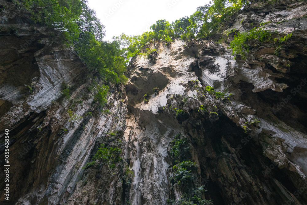 Interior of a Cave with Trees and a Rocky Cliff