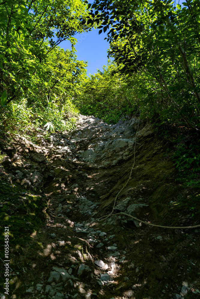 深緑の谷川岳 深緑の谷川岳