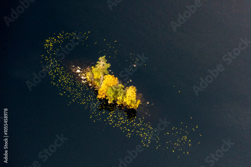 Aerial view of serene Onega Bay with tranquil autumn colors and lush island vegetation, Arkhangelsk Oblast, Russia.