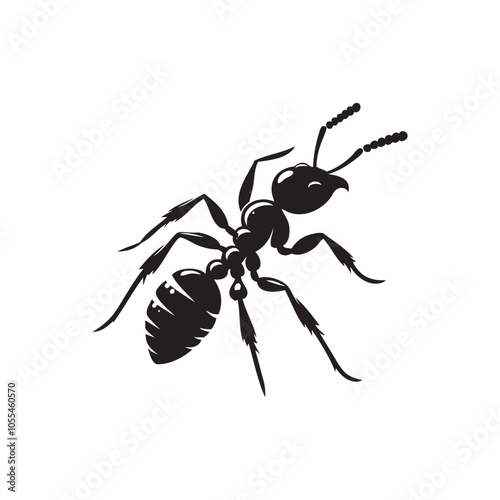 Ant silhouette vector. Ant Vector Design Logo. Ant Illustration With Various Shapes.
