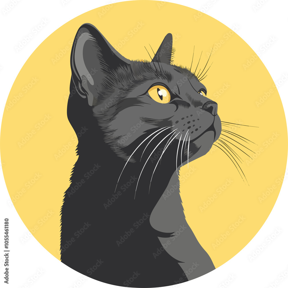A black cat on yellow background A black cat on yellow background