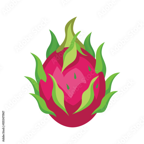 Piece of dragonfruit vector illustration, Colorful dragonfruit