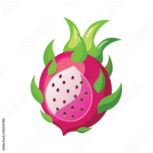 Piece of dragonfruit vector illustration, Colorful dragonfruit