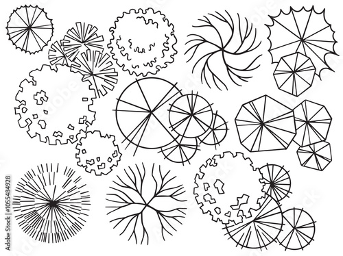 set of trees, hand drawing, top view. architectural ink drawing, vector.