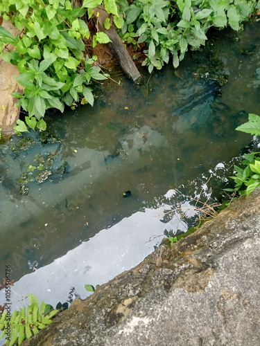 Top view wastewater gutter surrounding filled with grass photo