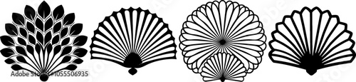 Decorative shells in various shapes, displayed against a dark background, highlighting intricate patterns and textures.