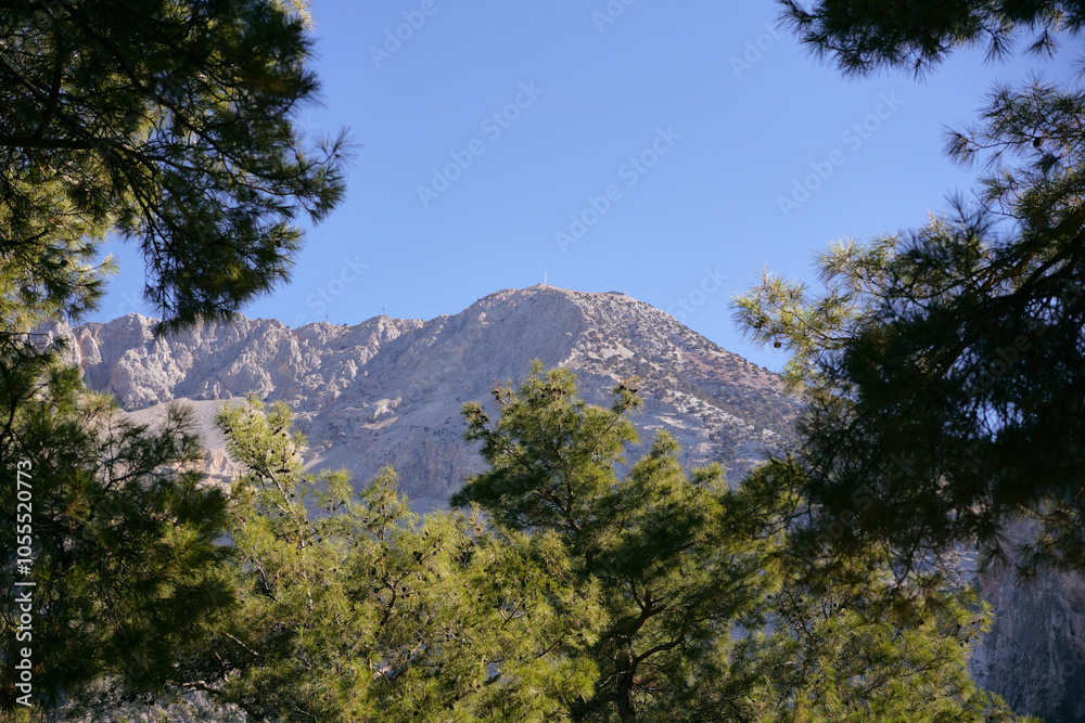 view of the mountain with trees in the foreground view of the mountain with trees in the foreground