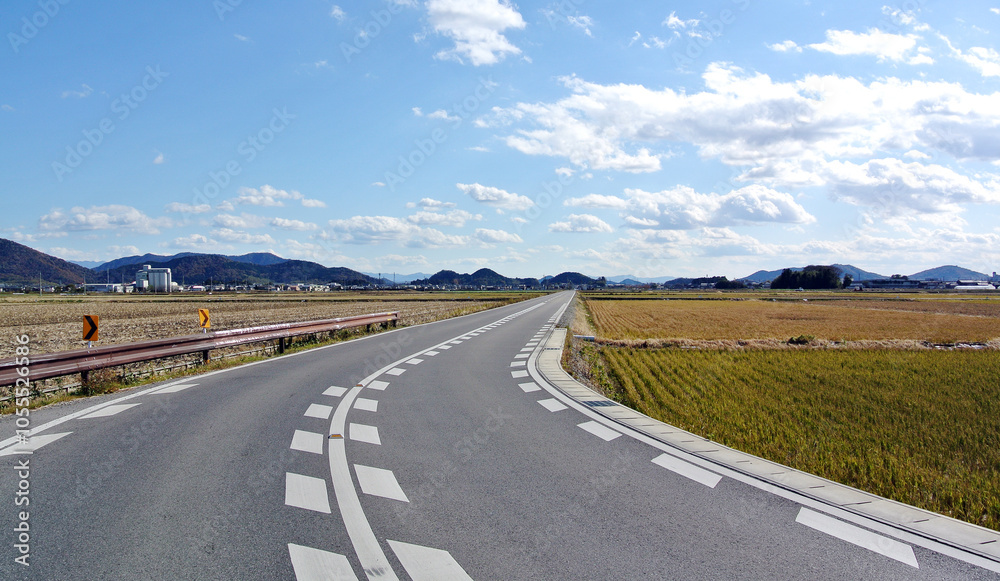 Fototapeta premium 畑の中にある静かな道路01