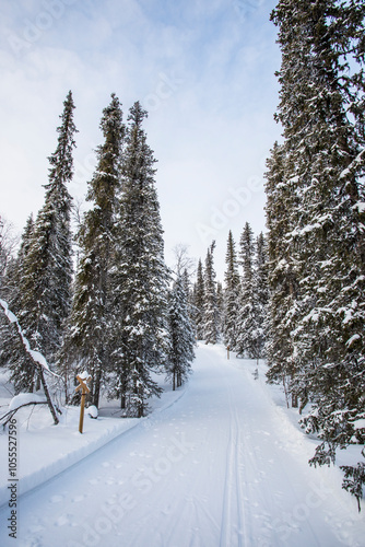 Winter landscape in Pallas Yllastunturi National Park, Lapland, Finland photo