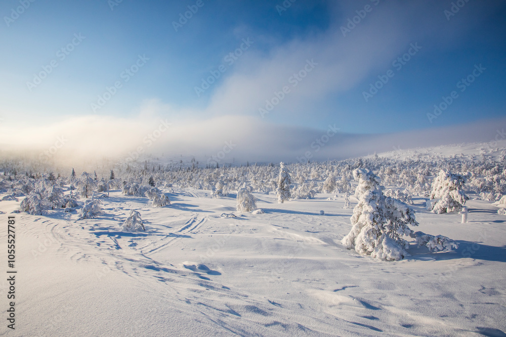 Winter landscape in Pallas Yllastunturi National Park, Lapland, Finland Winter landscape in Pallas Yllastunturi National Park, Lapland, Finland