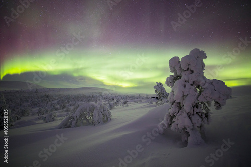 Northern lights in Pallas Yllastunturi National Park, Lapland, Finland